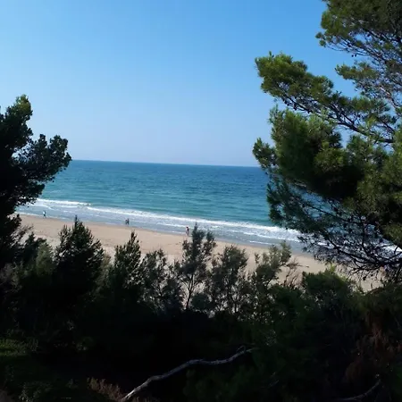 Appartamento Centro Pineto