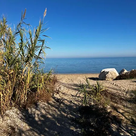 Centro * ピネート