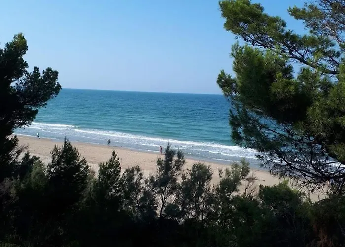 Apartment Centro Pineto