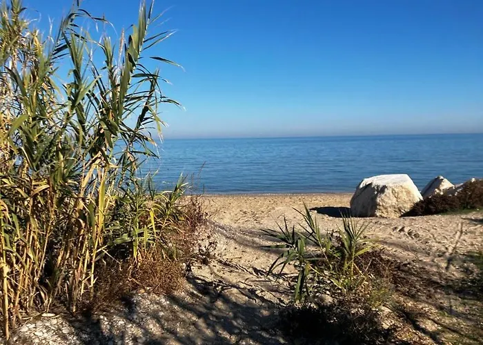 Centro * ピネート